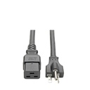 Tripp Lite CABLE DE ALIMENTACION DE USO PESADO 12 AWG IEC 320 C19 10 PIE