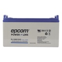 Epcom Batería 12 Vcc / 120 Ah / UL / Tecnología AGM-VRLA / CICLO PROFUNDO / Para uso en aplicaciones fotovoltaicas y de emergencia  / Terminales T4